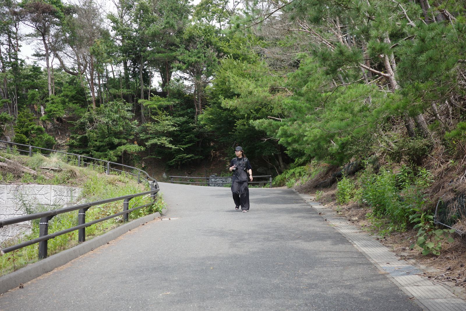 木々に囲まれた下り坂の舗装路を歩いてくる人物