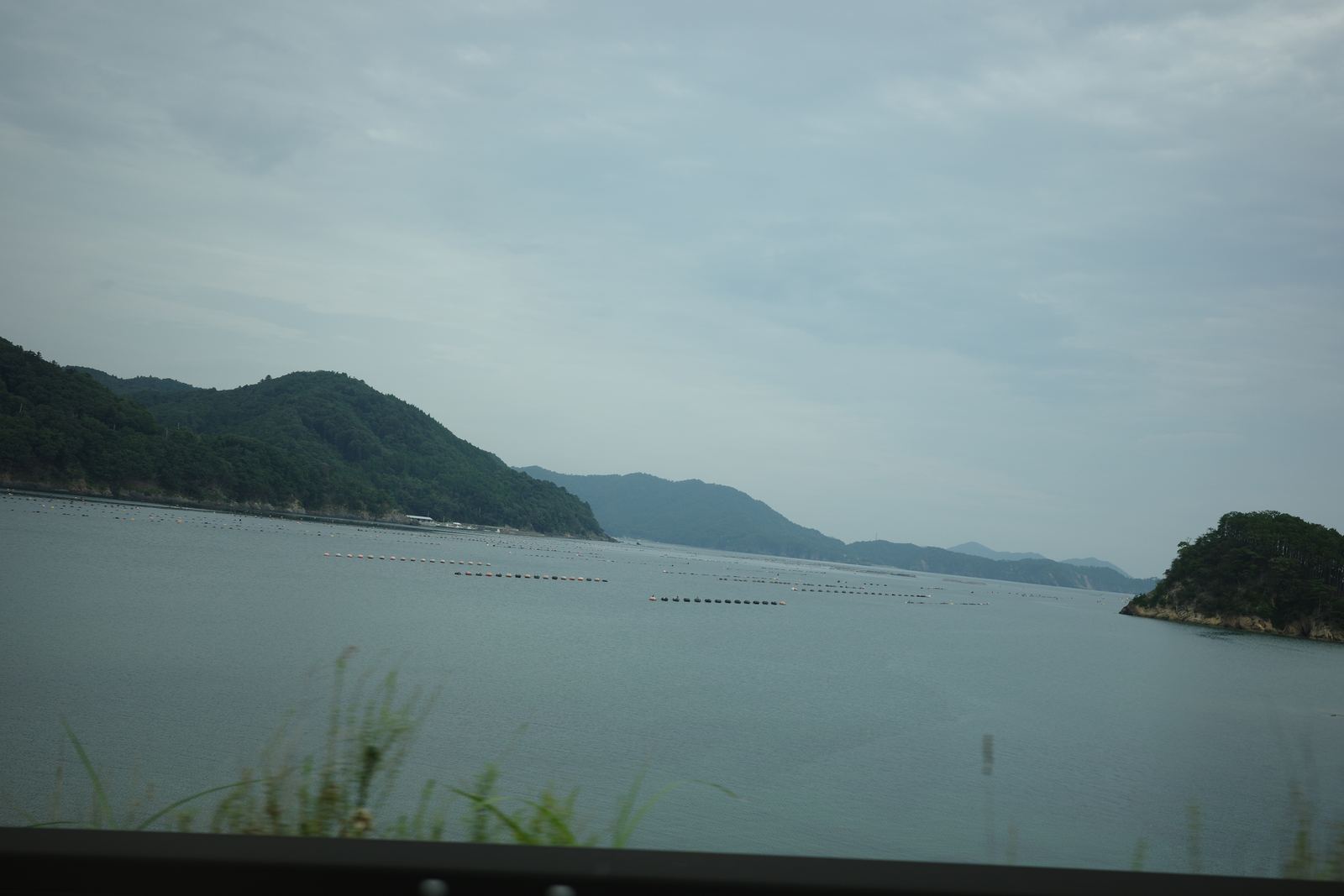 車窓から見た牡鹿半島の海。奥に山が連なり、海面には養殖の浮きが並んでいる