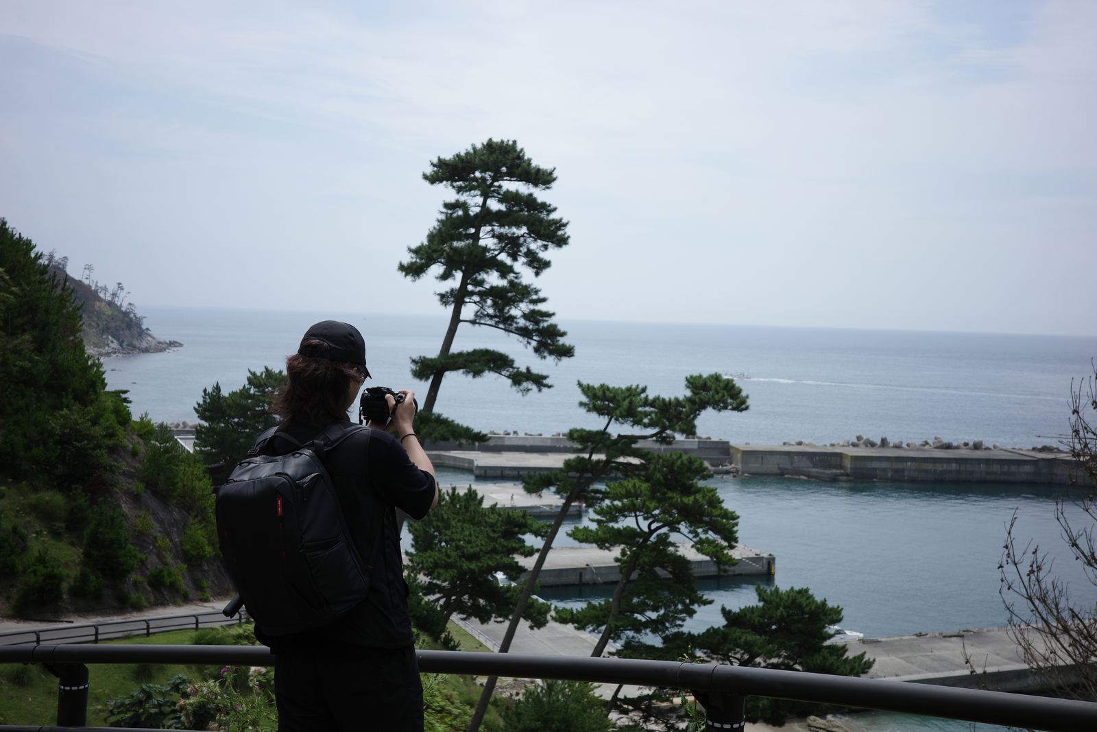 柵の前に立ち、海と港に向けてカメラを構える人物の後ろ姿。手前に松の木