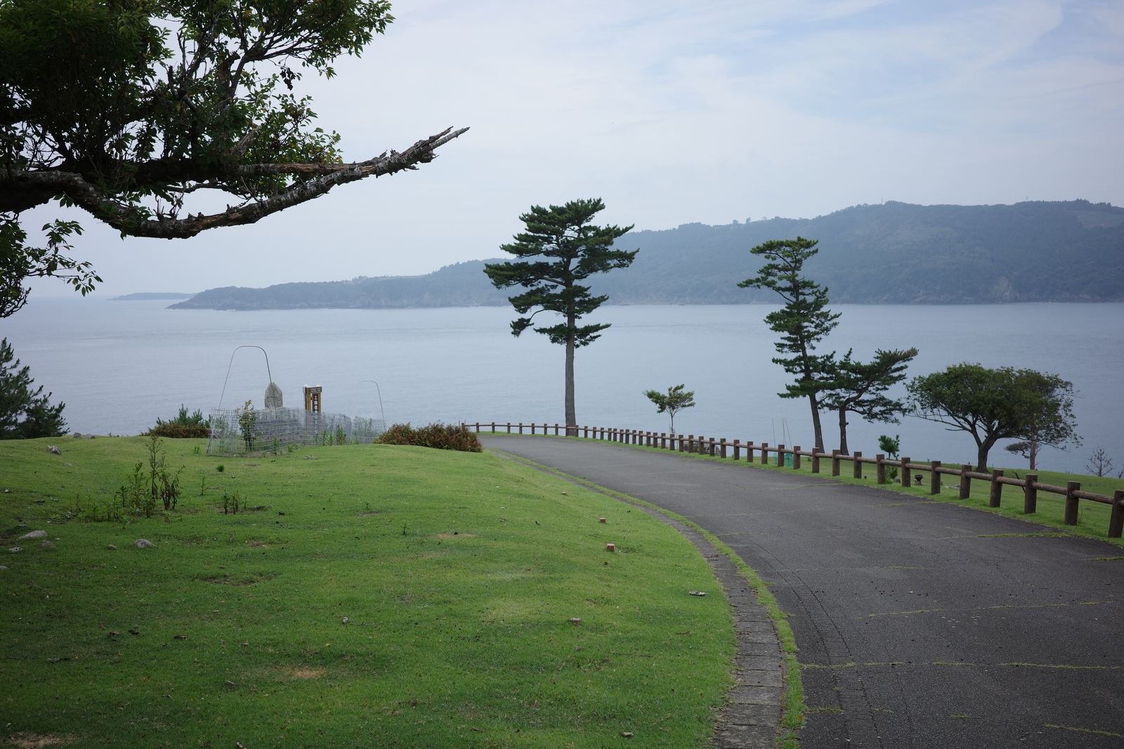 裏参道の舗装路と草地の向こうに広がる海。数本の松が立ち、対岸には本土の山並みが霞んで見える