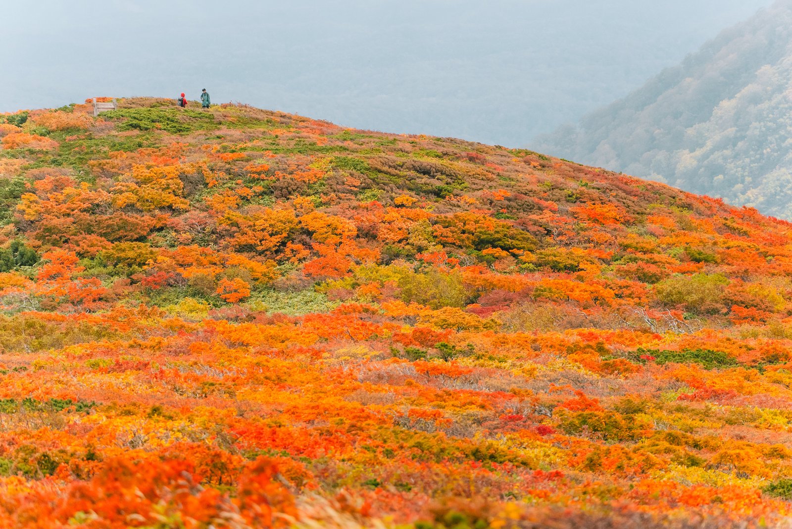 栗駒山の斜面を埋める赤・橙・黄の紅葉。稜線には小さな登山者の姿があり、奥に山並みが見える