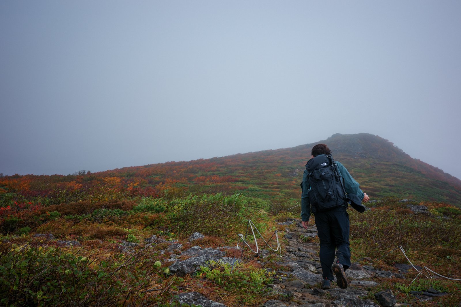 紅葉した低木に囲まれた道を歩く登山者。行く先の尾根は霧に包まれている