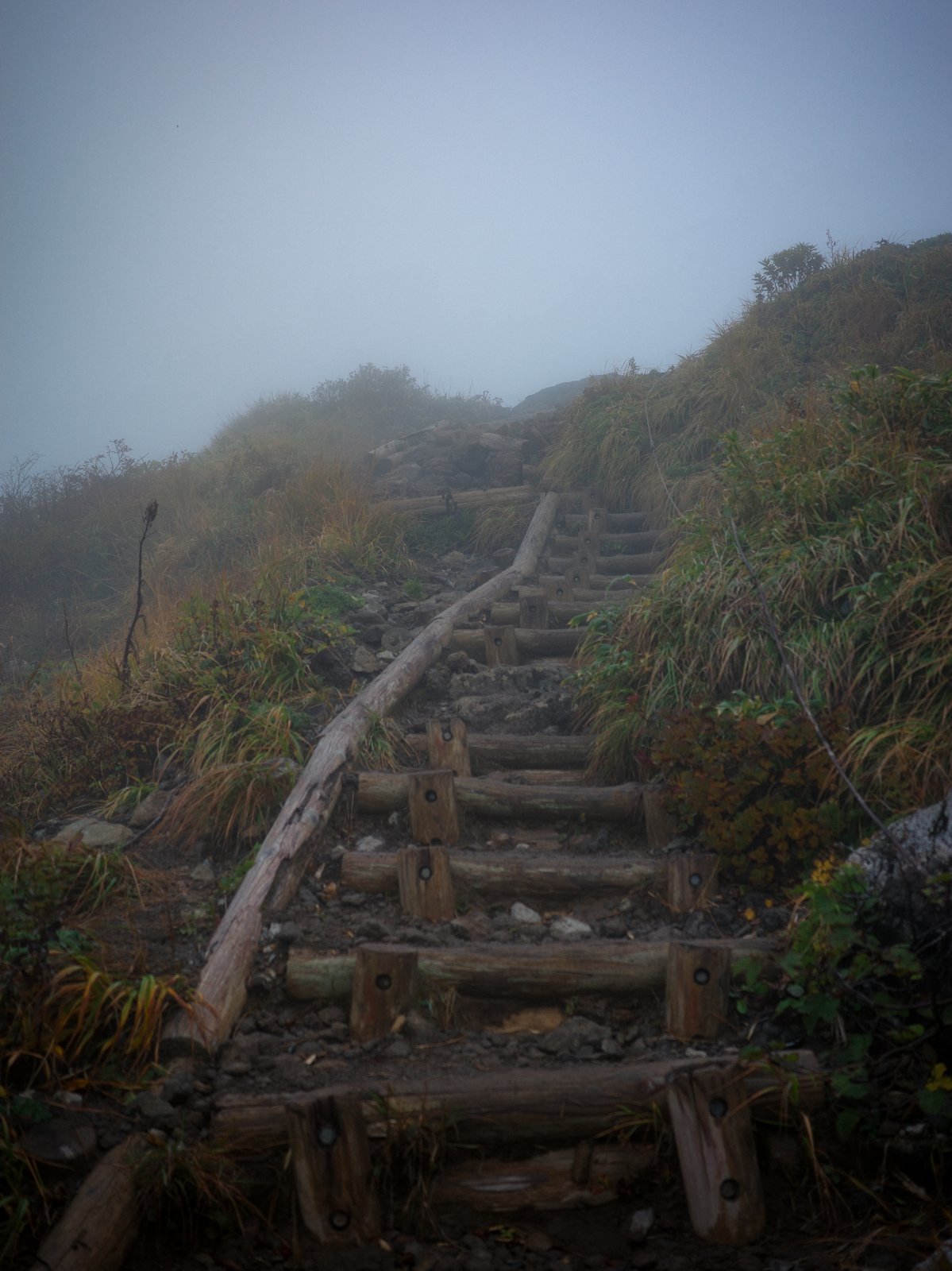 低木の間から霧の中へ続く、丸太で作られた山頂への階段