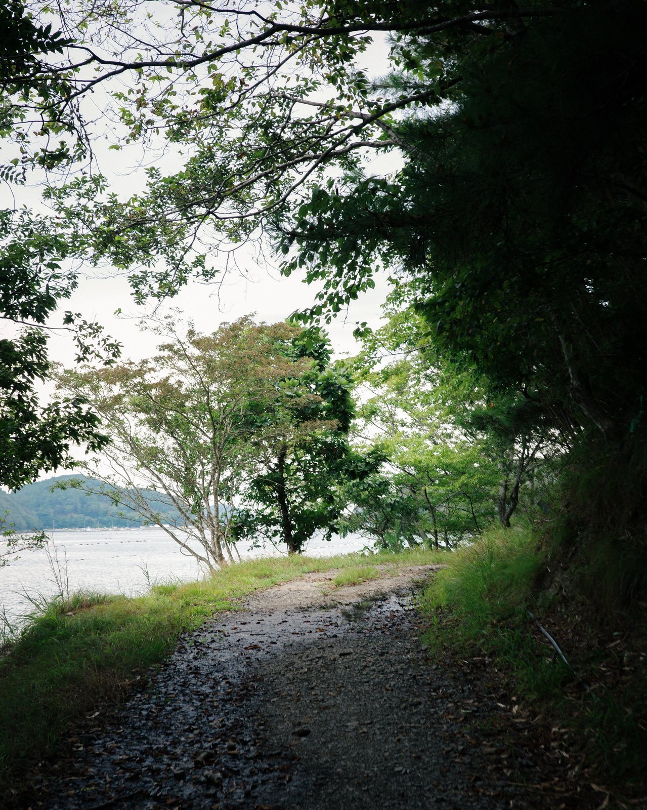 木々に囲まれた砂利道。左手に海と対岸の山並みがのぞき、道は奥へ続いている